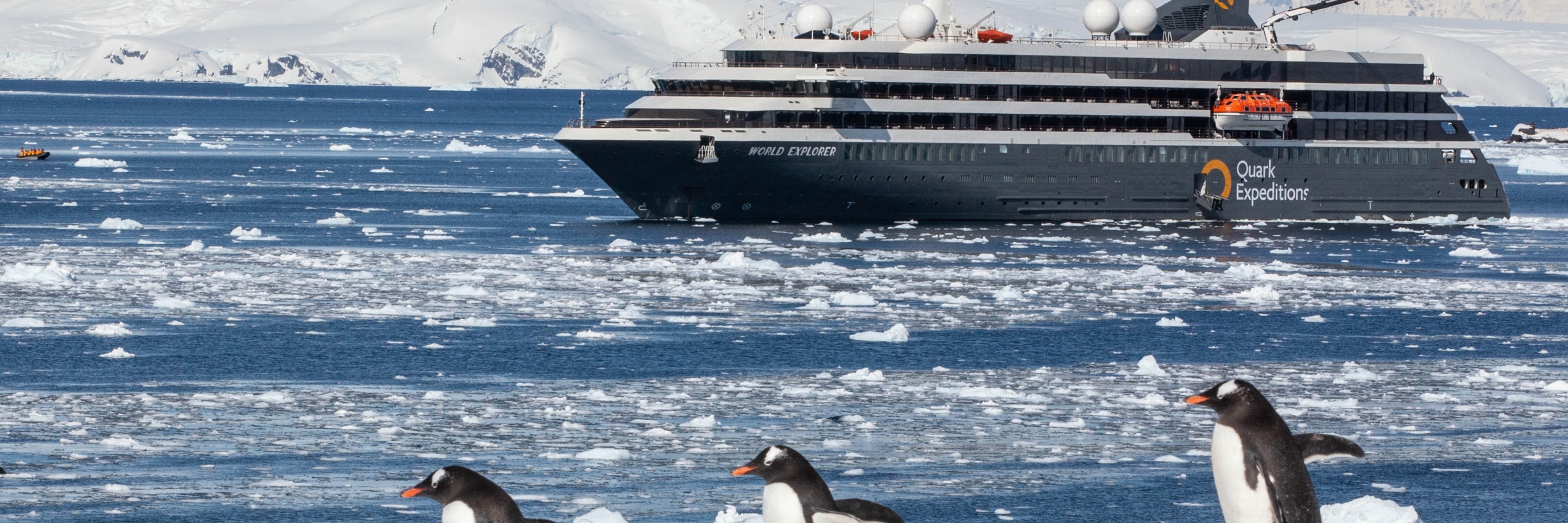 Gentoo penguins in front of the World Explorer in Antarctica