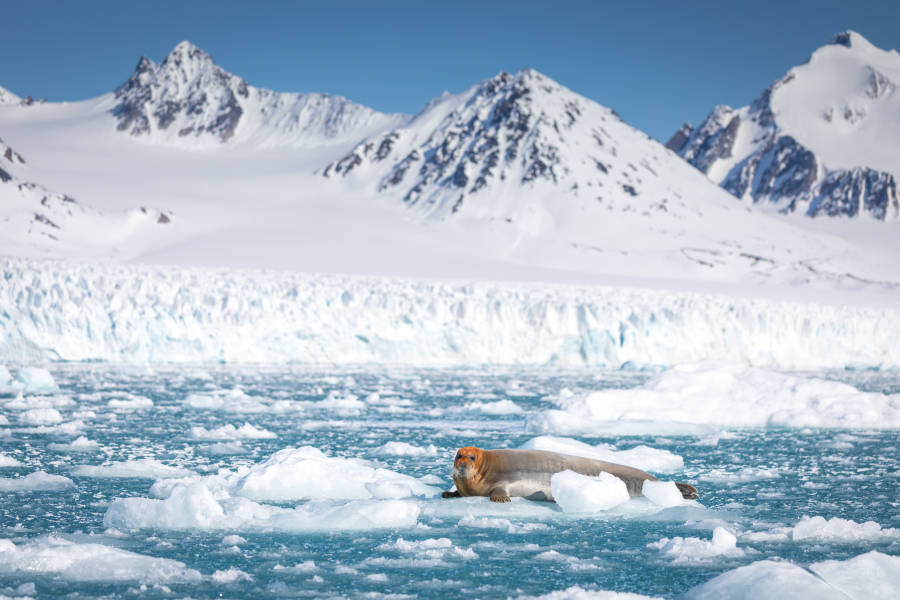斯匹次卑尔根大环线：步入新阶段