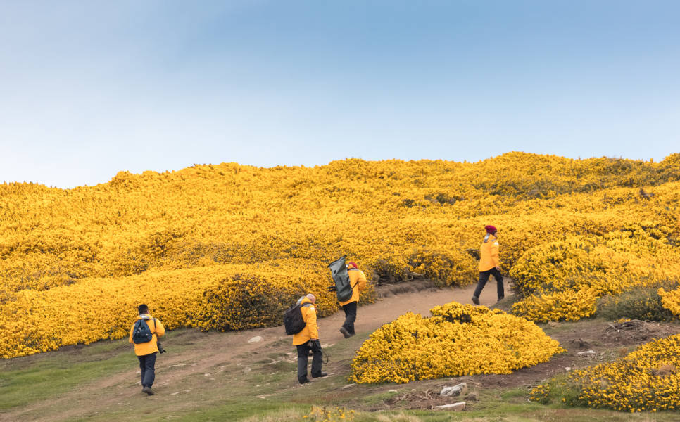 福克兰群岛（Falkland Islands）