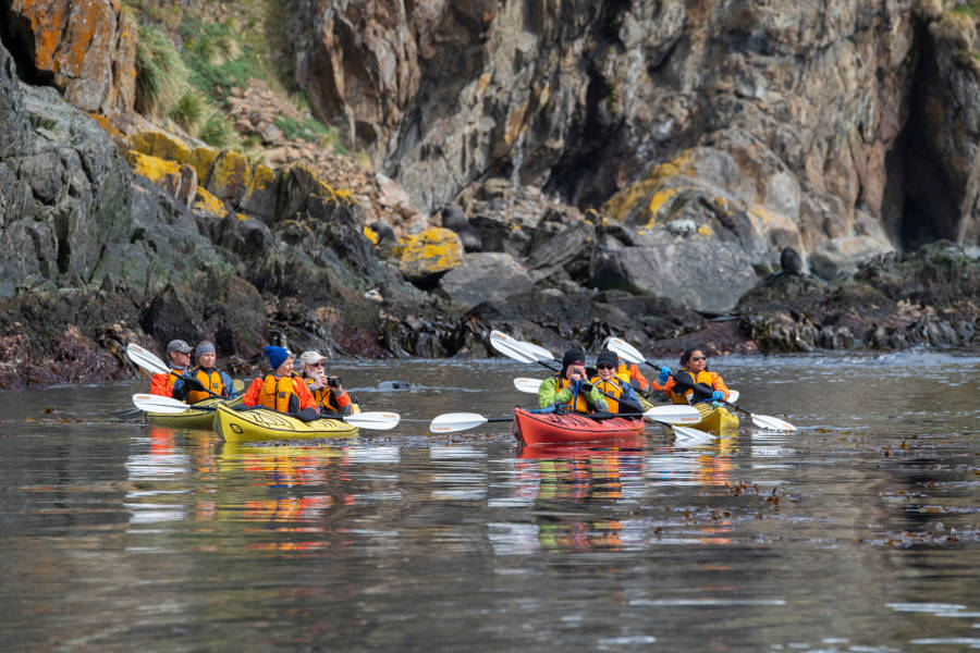 南乔治亚岛 (South Georgia)