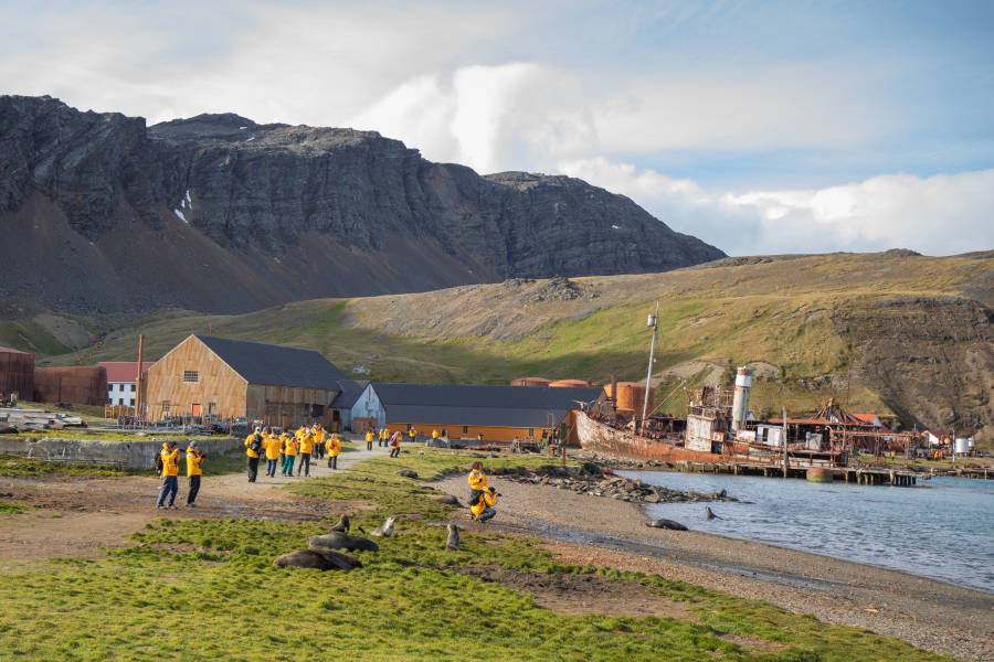 南乔治亚岛 (South Georgia)