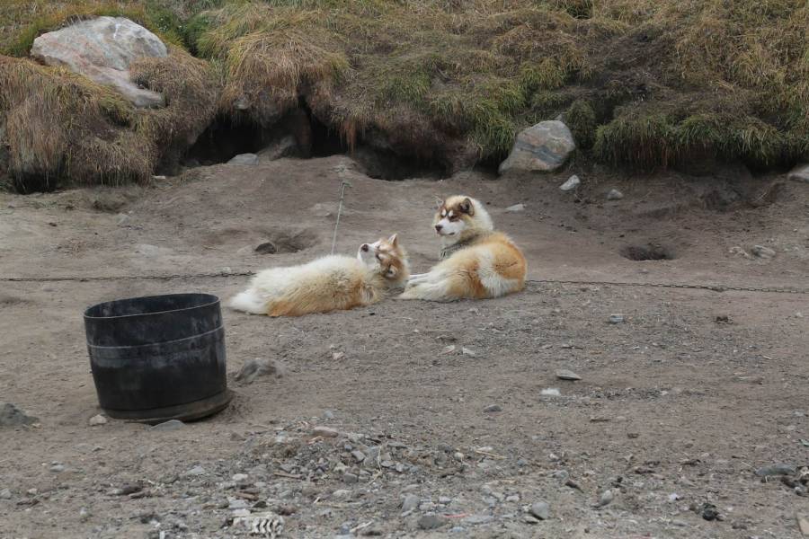 西北航道：传奇北极海上航线