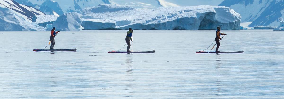 Three guests on their standup paddleboards paddle through calm waters in Antarctica.