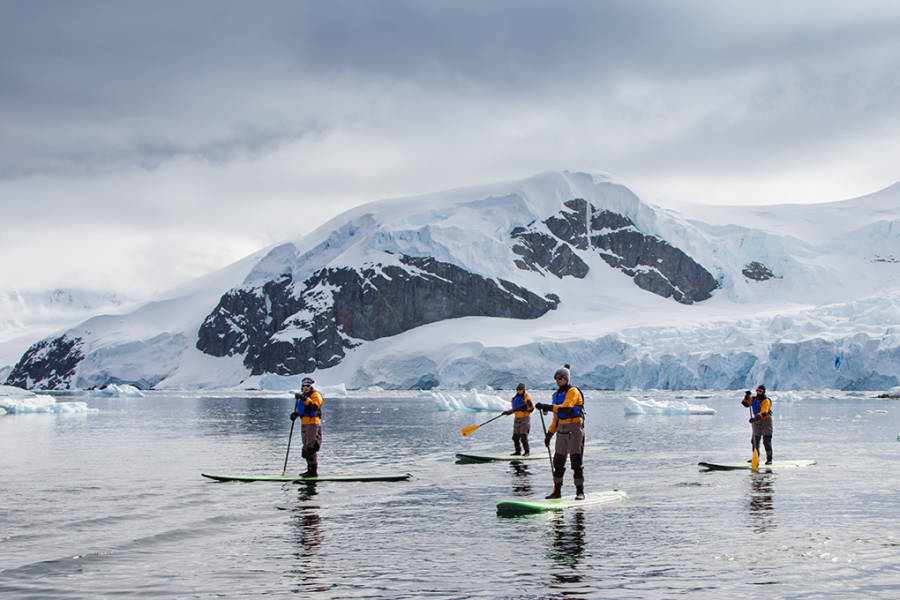 Four guests on their standup paddleboards paddle through calm waters in Antarctica.