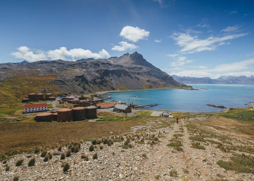 South Georgia landscape
