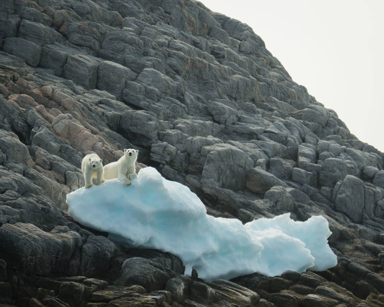 Monumental Island, Canada