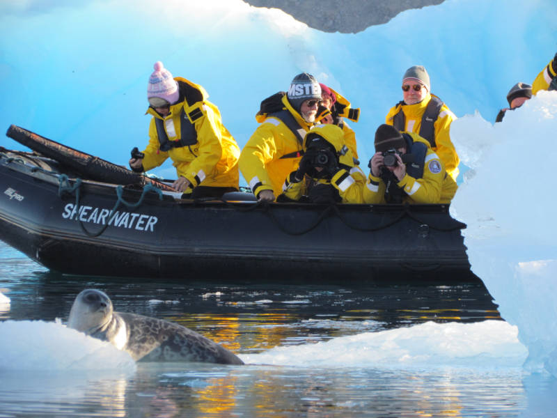 Photo by Amanda Meech