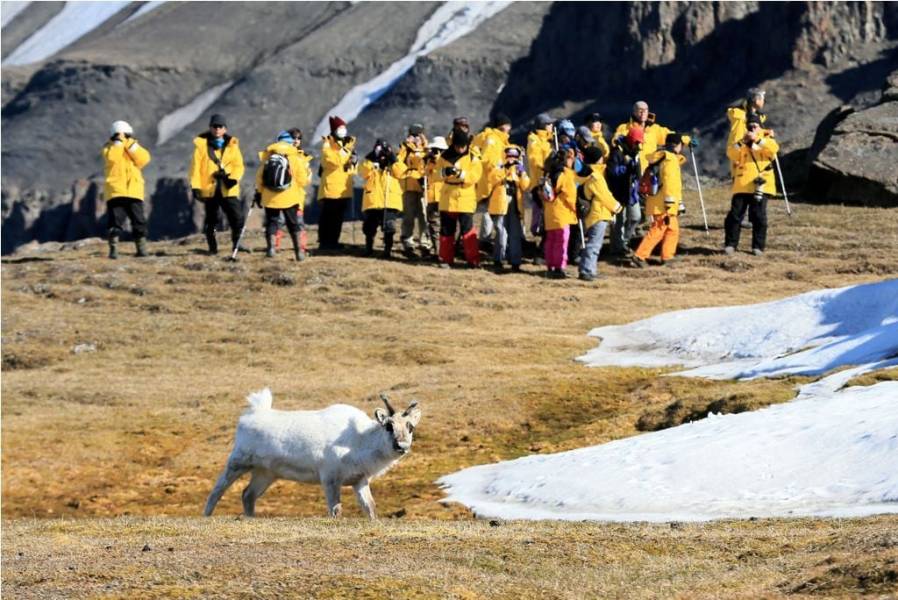 斯匹次卑尔根大环线：步入新阶段