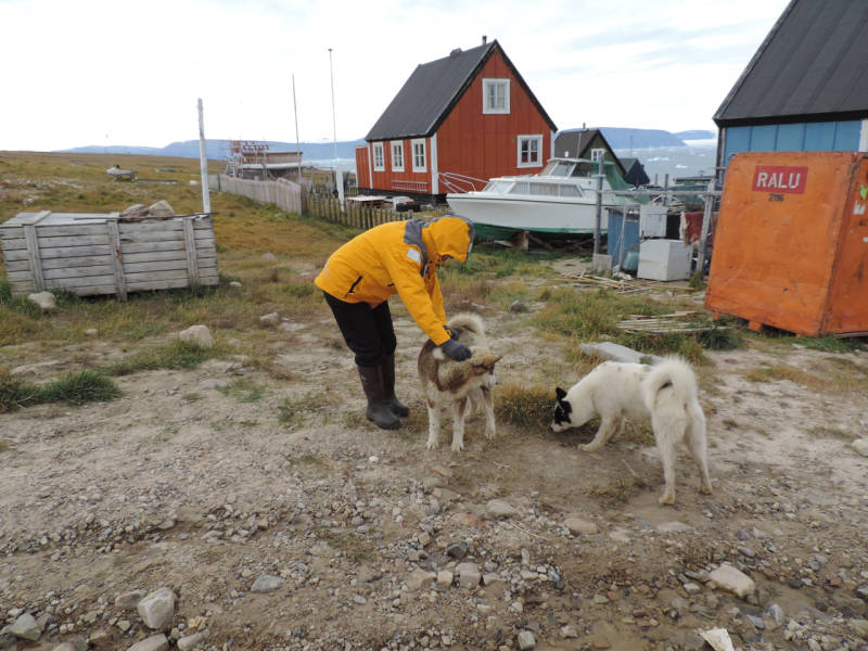 西北航道：史诗般的北极地区