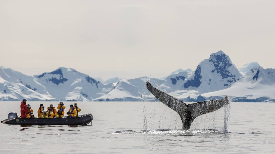 Photo by David Merron