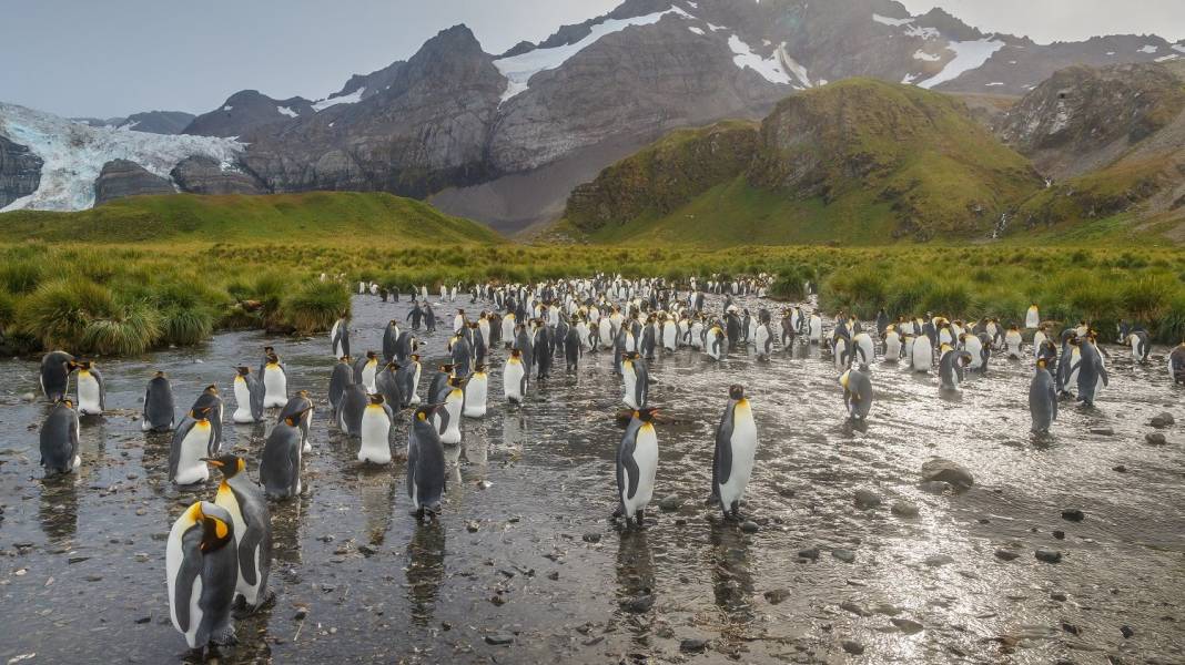 Photo by David Merron