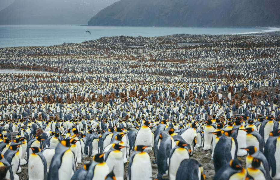 Photo by David Merron