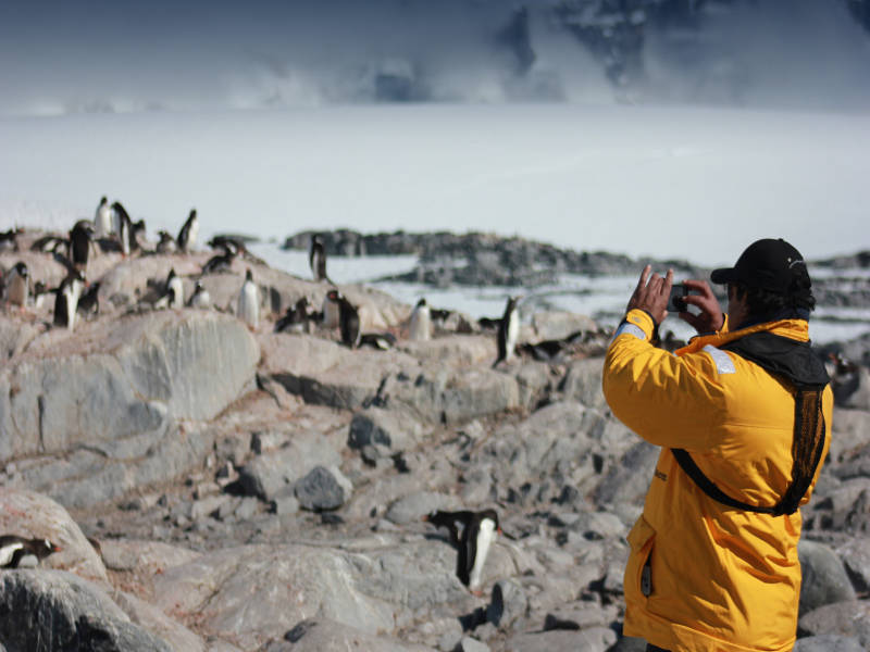 南极捷运：飞越德雷克海峡（飞去船回）