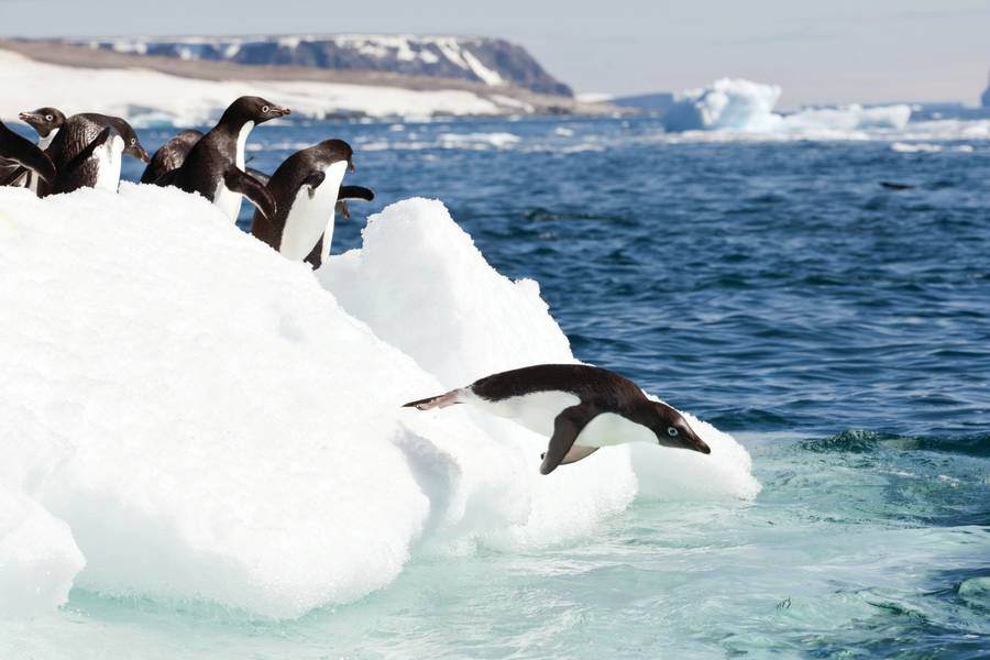 Photo by Sam Crimmin