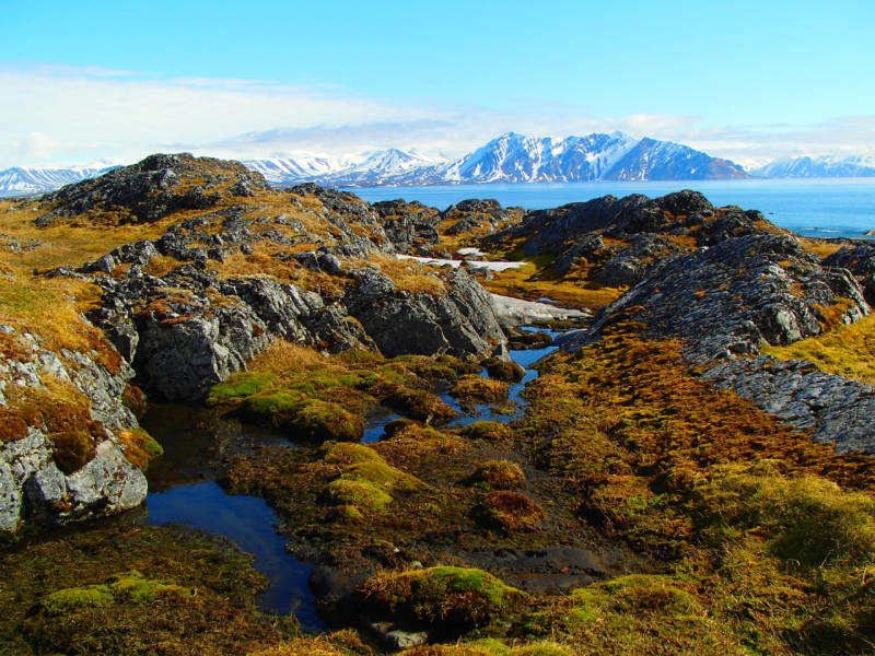 Photo by Tim Kubichek