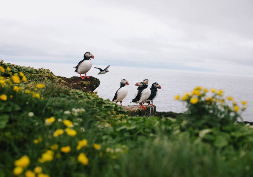 冰岛大环线：直升机、冰川、火山