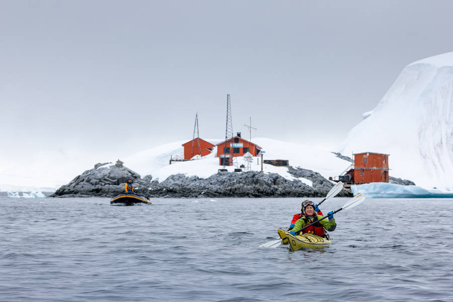极南地区的企鹅: 福克兰群岛、南乔治亚岛、南极大陆