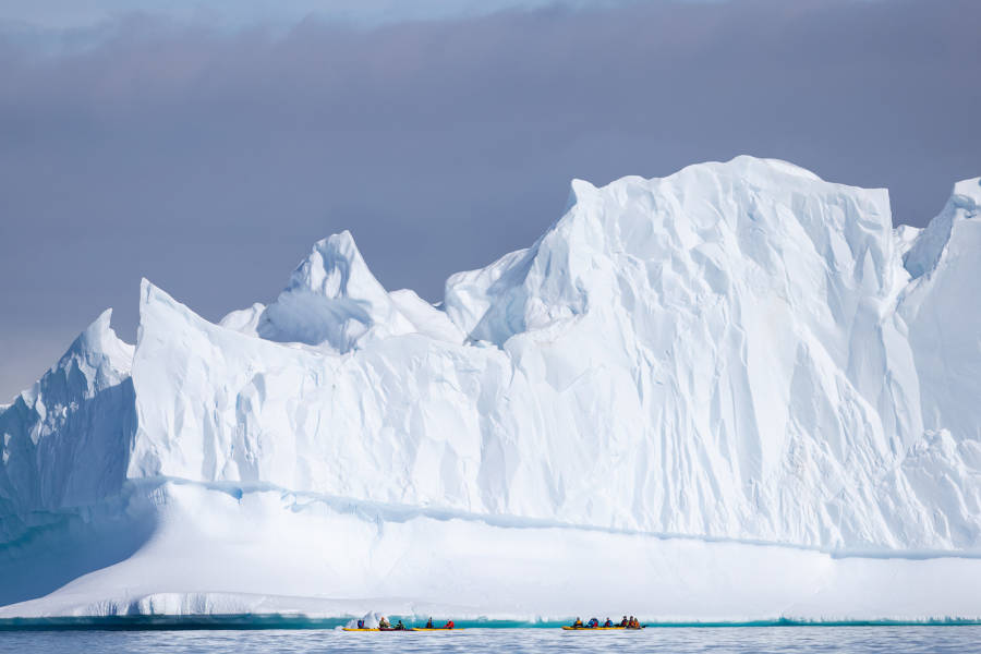 极南地区的企鹅: 福克兰群岛、南乔治亚岛、南极大陆