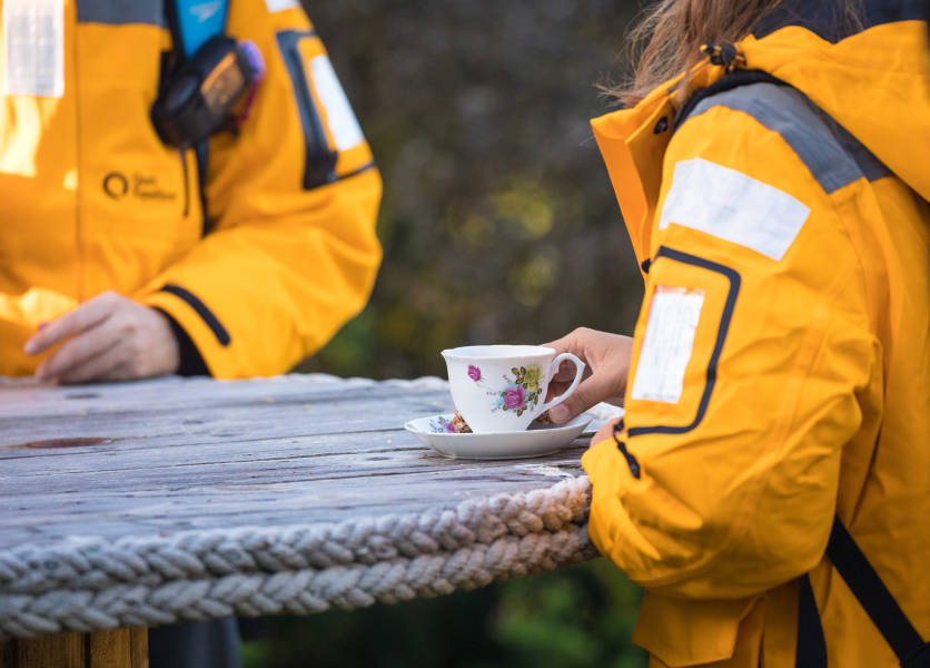 极南地区的企鹅: 福克兰群岛、南乔治亚岛、南极大陆