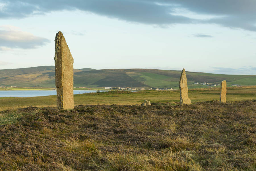 苏格兰到斯匹次卑尔根：海雀、海冰和野生动物