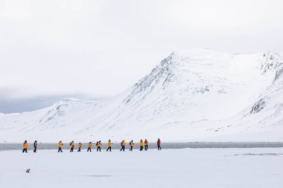 苏格兰到斯匹次卑尔根：海雀、海冰和野生动物