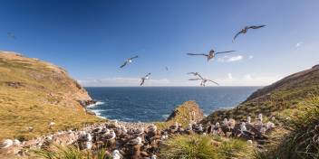 福克兰群岛(Falkland Islands)