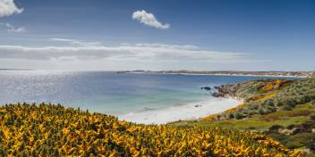 福克兰群岛(Falkland Islands)