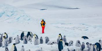 Snow HIll Island - Passenger & Penguins