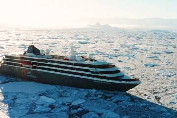 南乔治亚岛和南极半岛：企鹅之旅