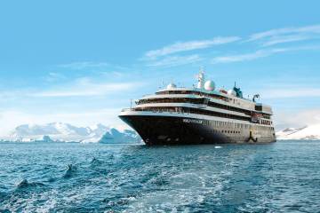 南极海洋哺乳动物：鲸与海豹的世界