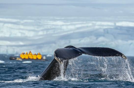 科学与探索 (Science and Discovery)