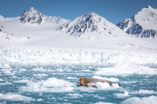 斯匹次卑尔根大环线：步入新阶段