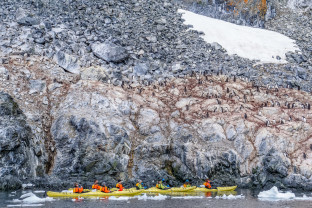 A group of kayakers paddle past gentoo penguins sitting on a rock formation.