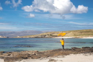 Passenger viewing the landscape