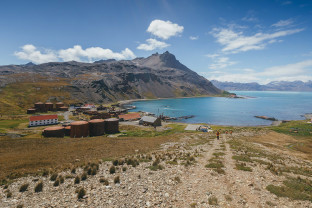 South Georgia landscape
