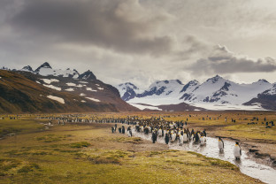 Photo by David Merron