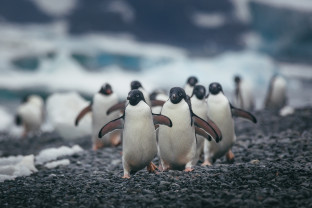 Photo by David Merron