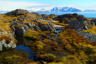 Photo by Tim Kubichek