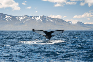 冰岛大环线：直升机、冰川、火山