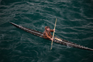 从格陵兰岛到纽芬兰：高山、野生动物、维京历史