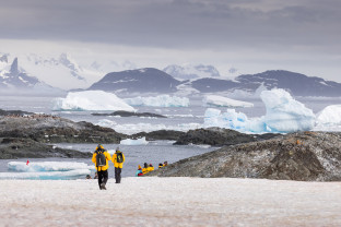 南极海洋哺乳动物：鲸与海豹的世界