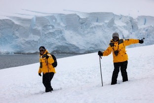 南极海洋哺乳动物：鲸与海豹的世界