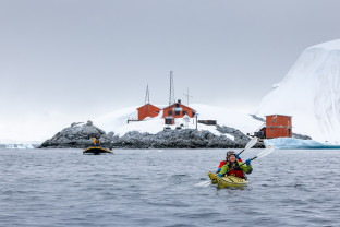 极南地区的企鹅: 福克兰群岛、南乔治亚岛、南极大陆