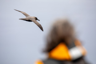 经典南极半岛：穿越极圈