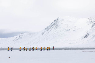 苏格兰到斯匹次卑尔根：海雀、海冰和野生动物