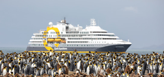 A waddle of penguins in the foreground, with an expedition ship anchored in the waters of the background