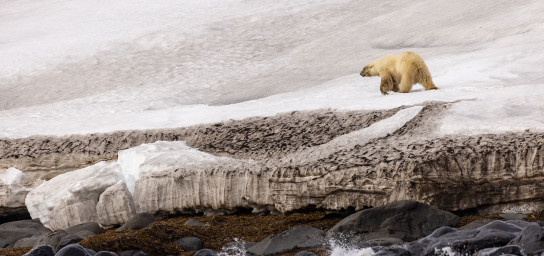 斯瓦尔巴群岛 (Svalbard)
