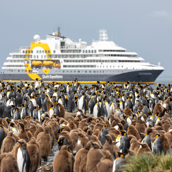 南乔治亚岛 (South Georgia)