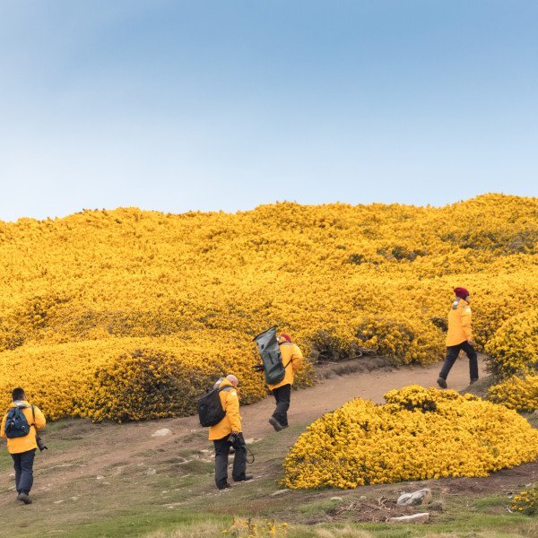 福克兰群岛（Falkland Islands）