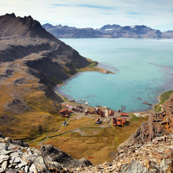 南乔治亚岛 (South Georgia)